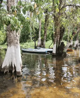 Balneário Porto de Minas
