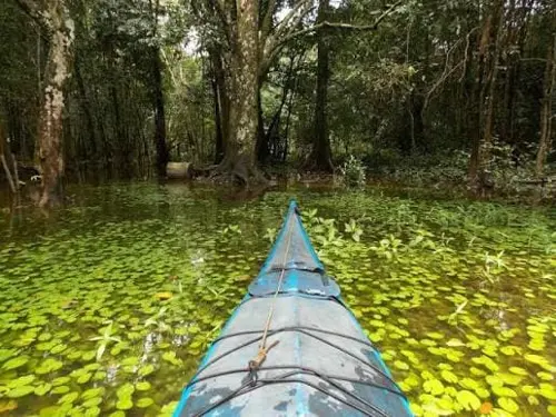 Rio Caraparu - imagem 1